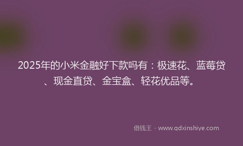2025年的小米金融好下款吗有：极速花、蓝莓贷、现金直贷、金宝盒、轻花优品等。