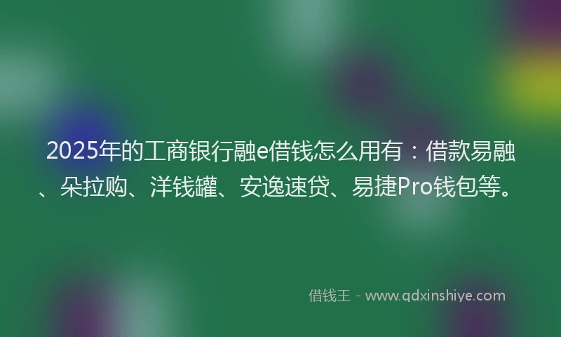 2025年的工商银行融e借钱怎么用有：借款易融、朵拉购、洋钱罐、安逸速贷、易捷Pro钱包等。