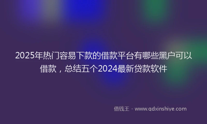 2025年热门容易下款的借款平台有哪些黑户可以借款，总结五个2024最新贷款软件