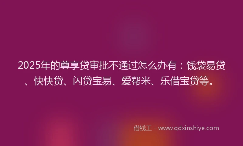 2025年的尊享贷审批不通过怎么办有：钱袋易贷、快快贷、闪贷宝易、爱帮米、乐借宝贷等。