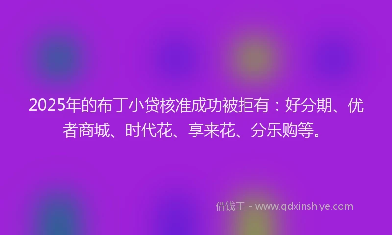 2025年的布丁小贷核准成功被拒有：好分期、优者商城、时代花、享来花、分乐购等。
