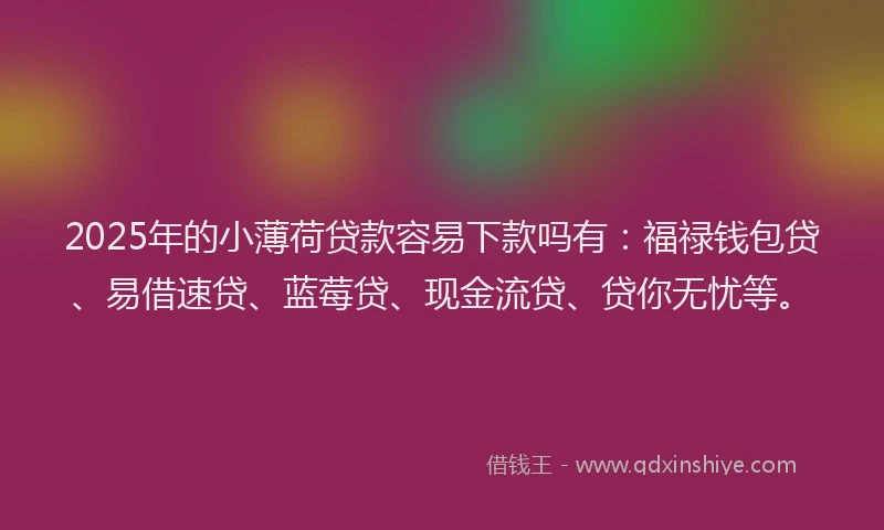 2025年的小薄荷贷款容易下款吗有：福禄钱包贷、易借速贷、蓝莓贷、现金流贷、贷你无忧等。