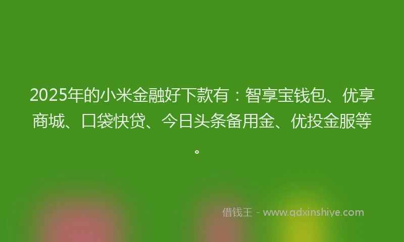 2025年的小米金融好下款有：智享宝钱包、优享商城、口袋快贷、今日头条备用金、优投金服等。