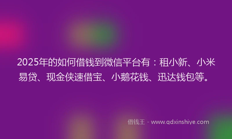 2025年的如何借钱到微信平台有：租小新、小米易贷、现金侠速借宝、小鹅花钱、迅达钱包等。