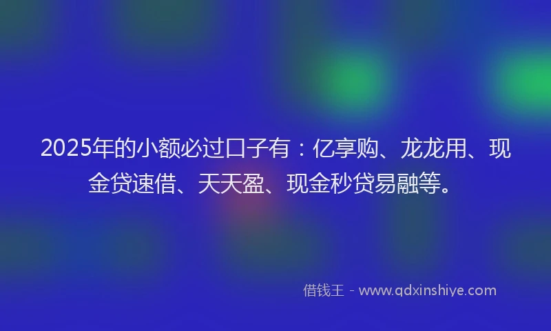 2025年的小额必过口子有：亿享购、龙龙用、现金贷速借、天天盈、现金秒贷易融等。