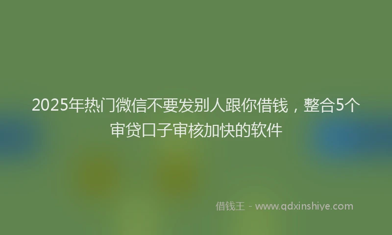 2025年热门微信不要发别人跟你借钱，整合5个审贷口子审核加快的软件