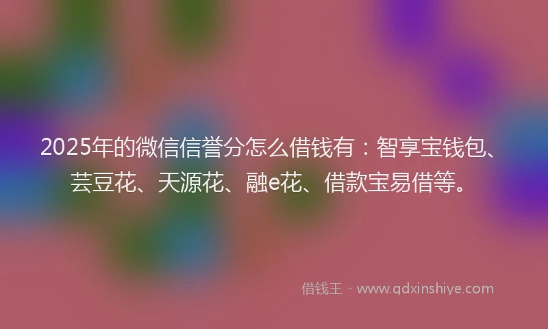 2025年的微信信誉分怎么借钱有：智享宝钱包、芸豆花、天源花、融e花、借款宝易借等。