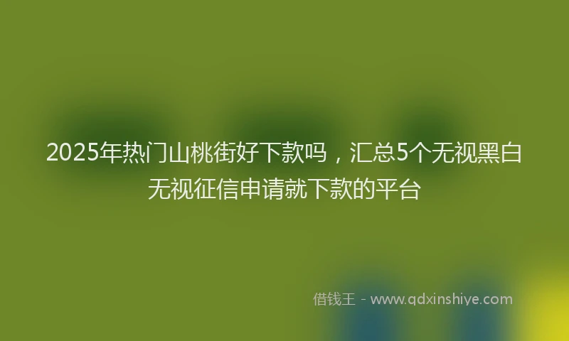 2025年热门山桃街好下款吗，汇总5个无视黑白无视征信申请就下款的平台