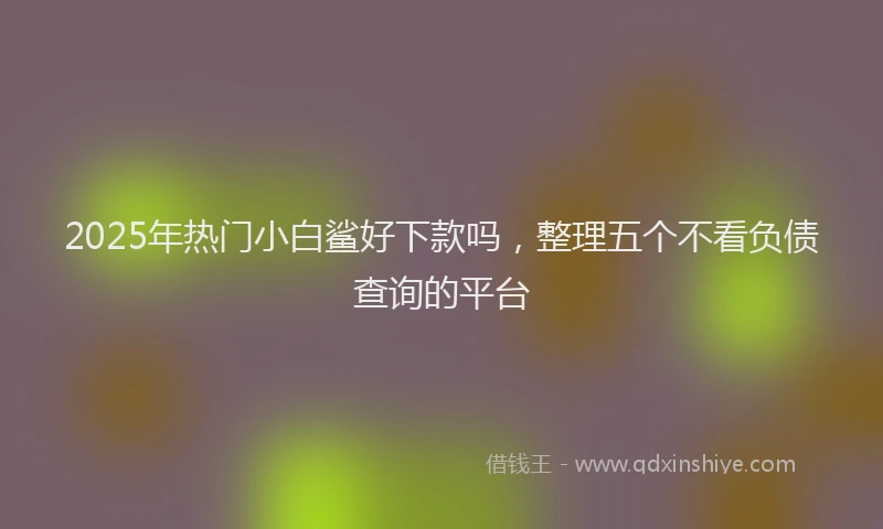 2025年热门小白鲨好下款吗，整理五个不看负债查询的平台