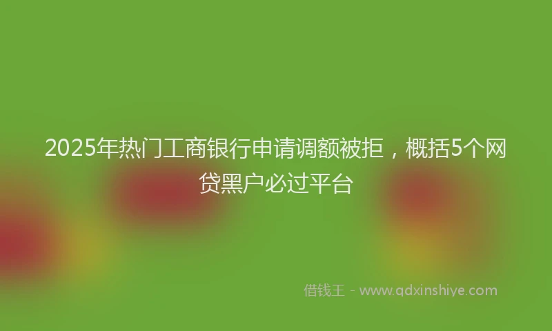 2025年热门工商银行申请调额被拒，概括5个网贷黑户必过平台