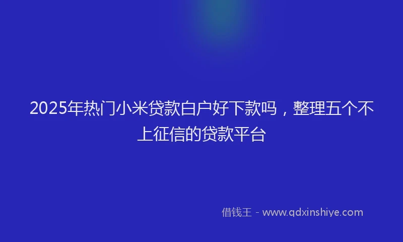 2025年热门小米贷款白户好下款吗，整理五个不上征信的贷款平台
