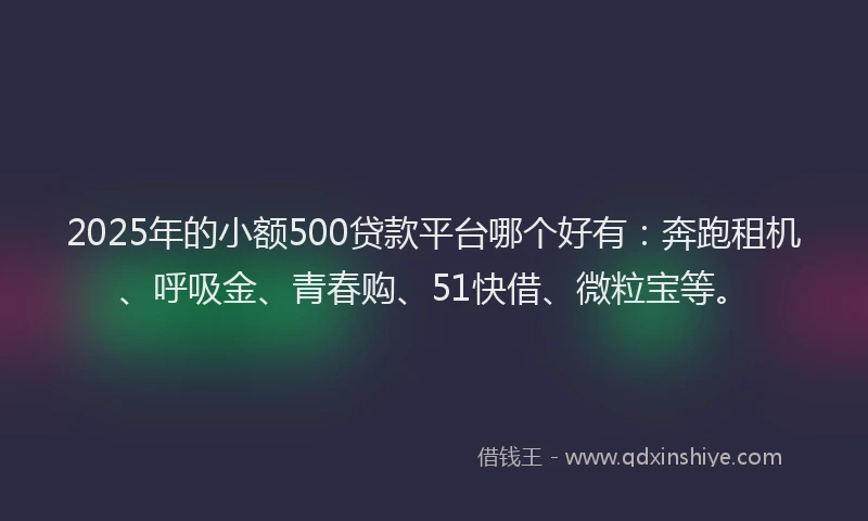 2025年的小额500贷款平台哪个好有：奔跑租机、呼吸金、青春购、51快借、微粒宝等。