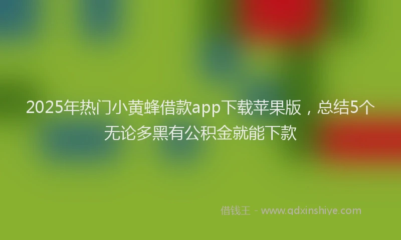 2025年热门小黄蜂借款app下载苹果版，总结5个无论多黑有公积金就能下款