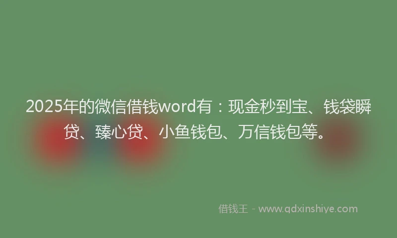 2025年的微信借钱word有：现金秒到宝、钱袋瞬贷、臻心贷、小鱼钱包、万信钱包等。
