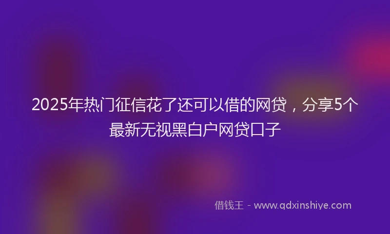 2025年热门征信花了还可以借的网贷，分享5个最新无视黑白户网贷口子