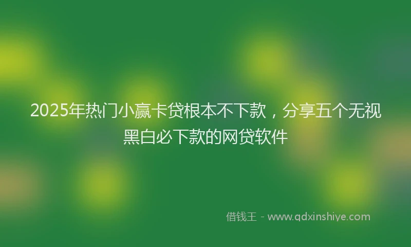 2025年热门小赢卡贷根本不下款，分享五个无视黑白必下款的网贷软件
