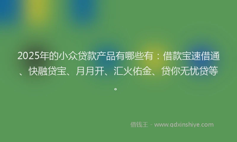 2025年的小众贷款产品有哪些有：借款宝速借通、快融贷宝、月月开、汇火佑金、贷你无忧贷等。