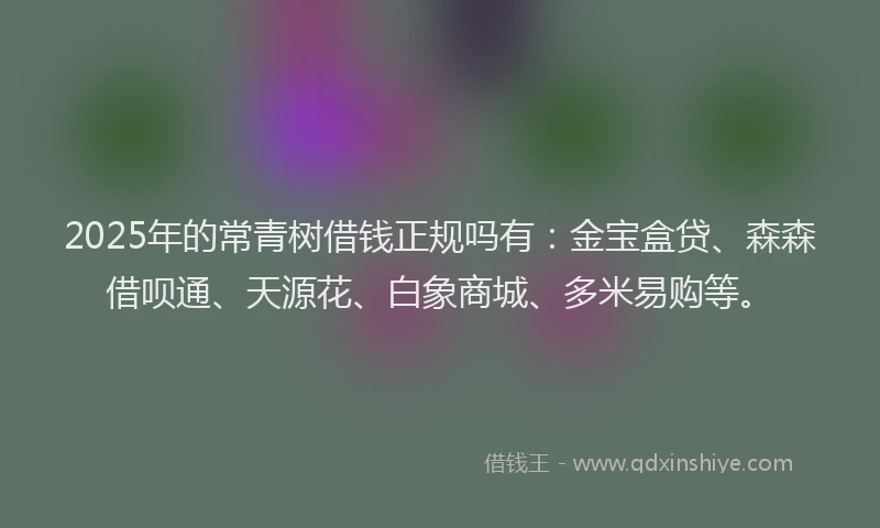 2025年的常青树借钱正规吗有：金宝盒贷、森森借呗通、天源花、白象商城、多米易购等。