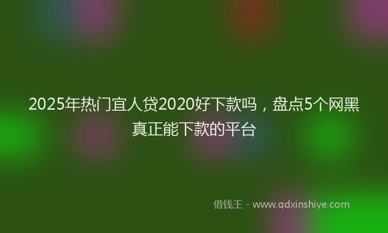 2025年热门宜人贷2020好下款吗，盘点5个网黑真正能下款的平台