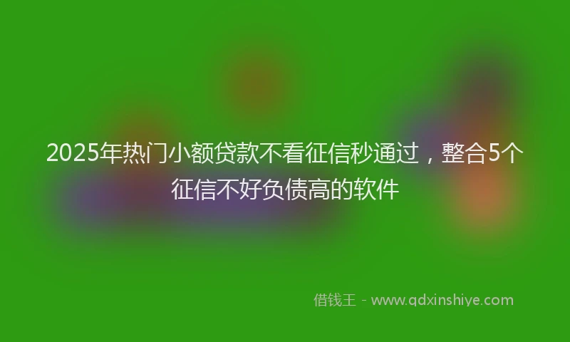2025年热门小额贷款不看征信秒通过，整合5个征信不好负债高的软件