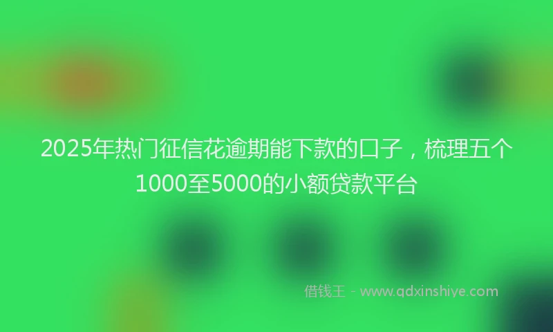2025年热门征信花逾期能下款的口子，梳理五个1000至5000的小额贷款平台