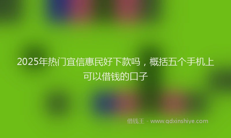 2025年热门宜信惠民好下款吗，概括五个手机上可以借钱的口子
