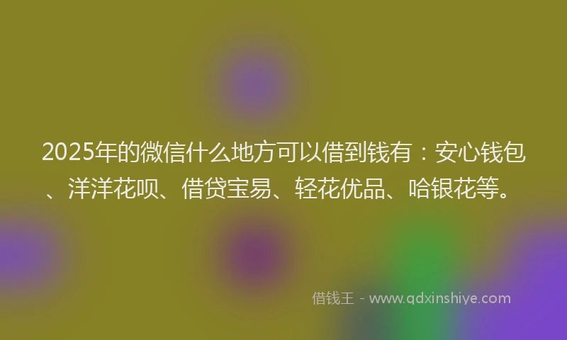 2025年的微信什么地方可以借到钱有：安心钱包、洋洋花呗、借贷宝易、轻花优品、哈银花等。