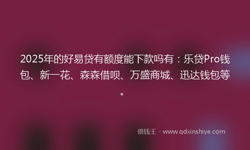 2025年的好易贷有额度能下款吗有：乐贷Pro钱包、新一花、森森借呗、万盛商城、迅达钱包等。