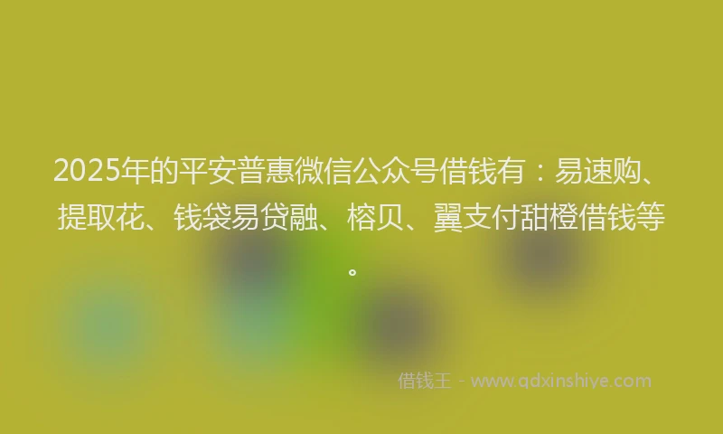 2025年的平安普惠微信公众号借钱有：易速购、提取花、钱袋易贷融、榕贝、翼支付甜橙借钱等。