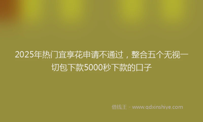 2025年热门宜享花申请不通过，整合五个无视一切包下款5000秒下款的口子