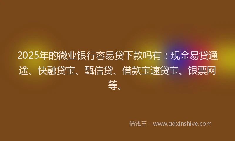 2025年的微业银行容易贷下款吗有：现金易贷通途、快融贷宝、甄信贷、借款宝速贷宝、银票网等。
