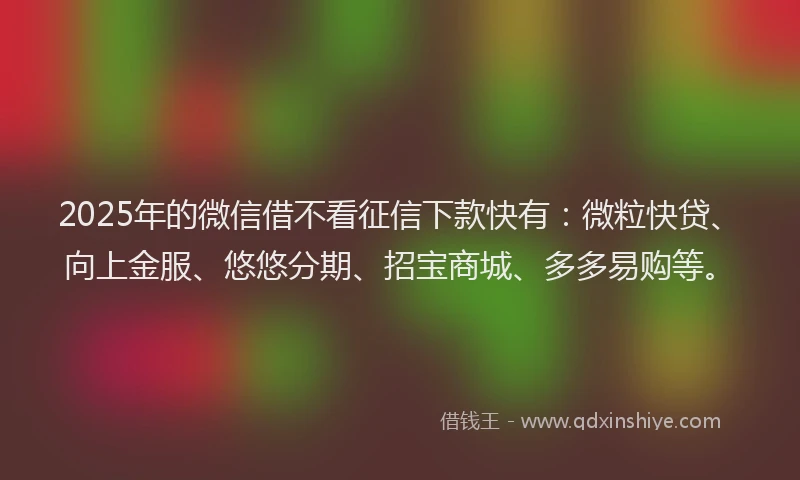 2025年的微信借不看征信下款快有：微粒快贷、向上金服、悠悠分期、招宝商城、多多易购等。