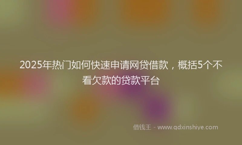 2025年热门如何快速申请网贷借款，概括5个不看欠款的贷款平台