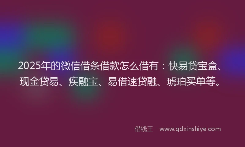 2025年的微信借条借款怎么借有：快易贷宝盒、现金贷易、疾融宝、易借速贷融、琥珀买单等。