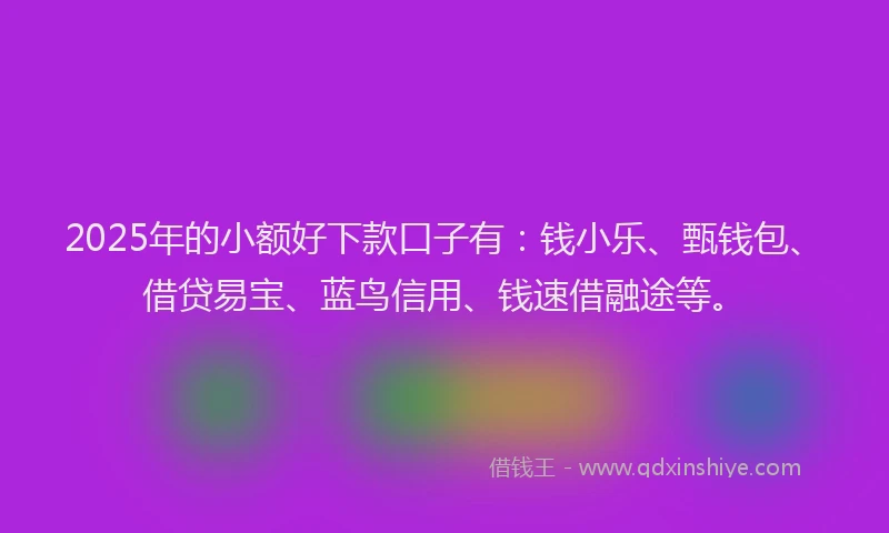 2025年的小额好下款口子有：钱小乐、甄钱包、借贷易宝、蓝鸟信用、钱速借融途等。