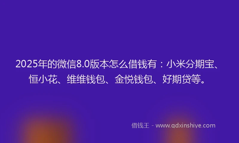 2025年的微信8.0版本怎么借钱有：小米分期宝、恒小花、维维钱包、金悦钱包、好期贷等。