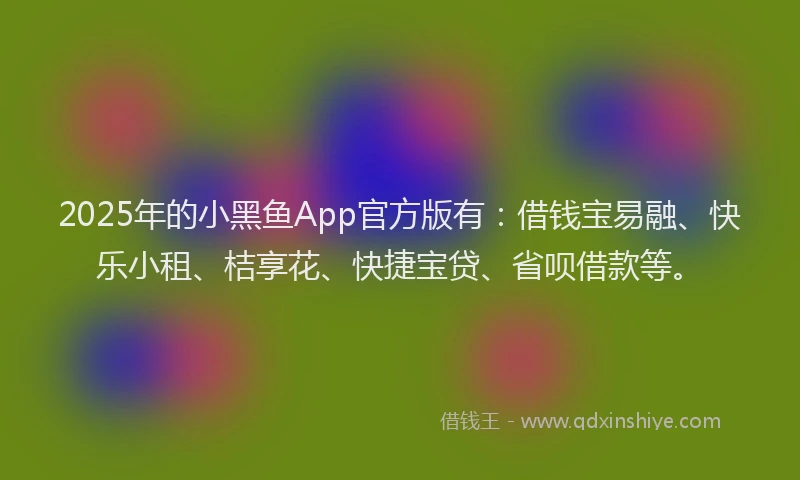 2025年的小黑鱼App官方版有：借钱宝易融、快乐小租、桔享花、快捷宝贷、省呗借款等。