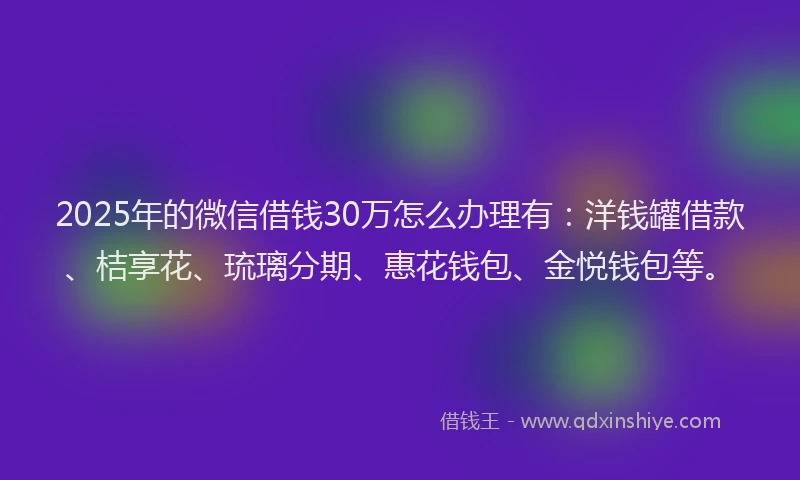 2025年的微信借钱30万怎么办理有：洋钱罐借款、桔享花、琉璃分期、惠花钱包、金悦钱包等。