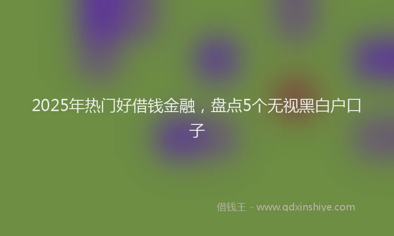 2025年热门好借钱金融，盘点5个无视黑白户口子