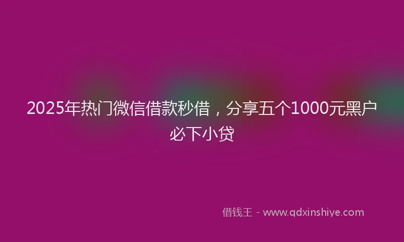 2025年热门微信借款秒借，分享五个1000元黑户必下小贷