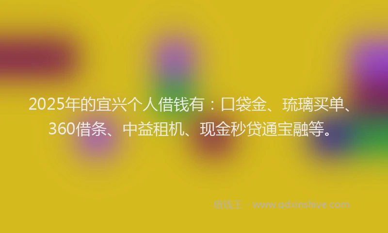 2025年的宜兴个人借钱有：口袋金、琉璃买单、360借条、中益租机、现金秒贷通宝融等。