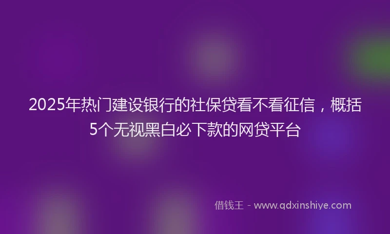 2025年热门建设银行的社保贷看不看征信，概括5个无视黑白必下款的网贷平台