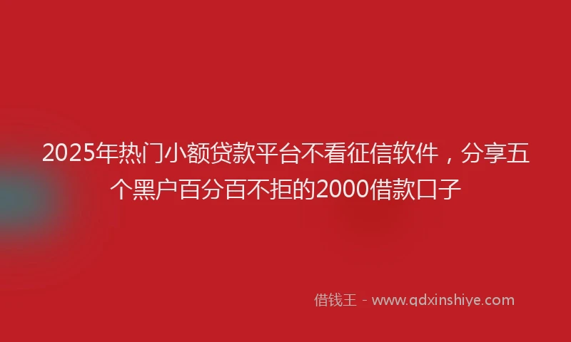 2025年热门小额贷款平台不看征信软件，分享五个黑户百分百不拒的2000借款口子