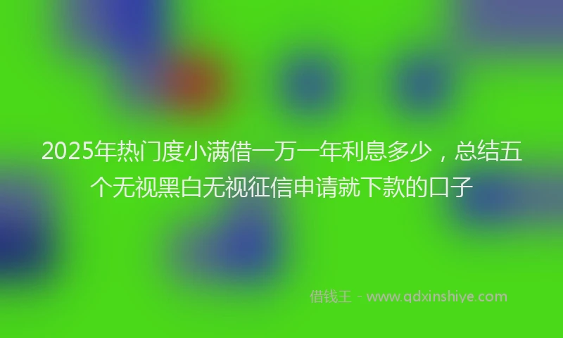 2025年热门度小满借一万一年利息多少，总结五个无视黑白无视征信申请就下款的口子