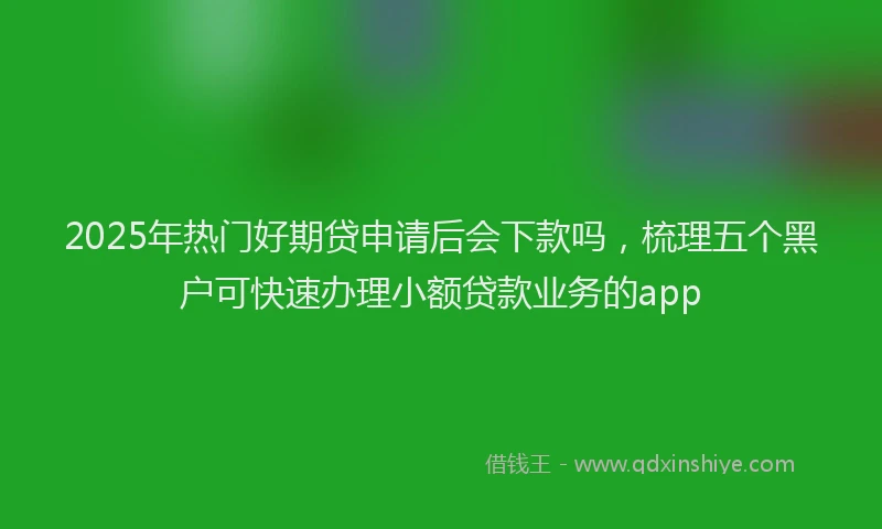 2025年热门好期贷申请后会下款吗，梳理五个黑户可快速办理小额贷款业务的app