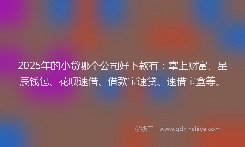 2025年的小贷哪个公司好下款有：掌上财富、星辰钱包、花呗速借、借款宝速贷、速借宝盒等。