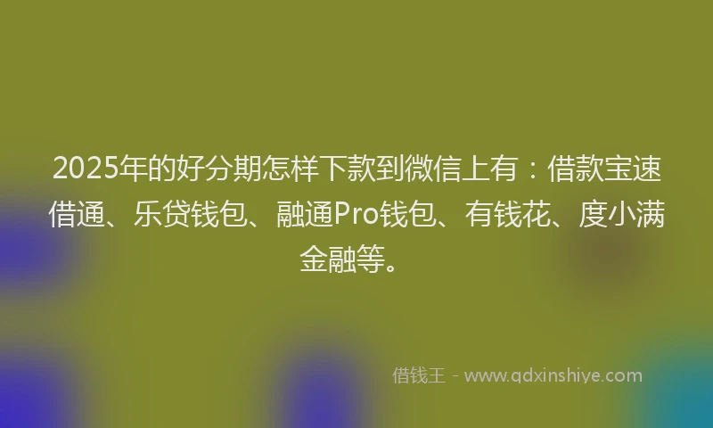 2025年的好分期怎样下款到微信上有：借款宝速借通、乐贷钱包、融通Pro钱包、有钱花、度小满金融等。
