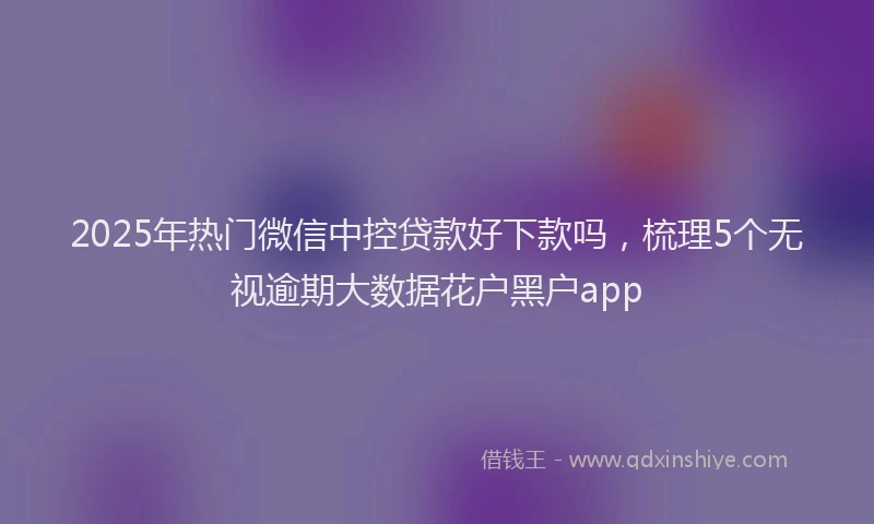 2025年热门微信中控贷款好下款吗，梳理5个无视逾期大数据花户黑户app