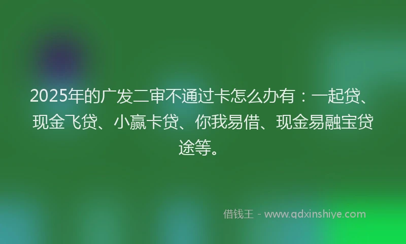 2025年的广发二审不通过卡怎么办有：一起贷、现金飞贷、小赢卡贷、你我易借、现金易融宝贷途等。