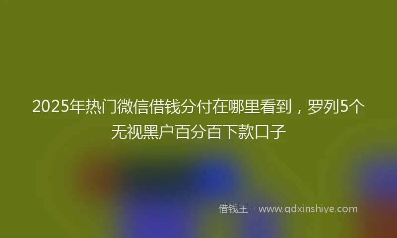 2025年热门微信借钱分付在哪里看到，罗列5个无视黑户百分百下款口子